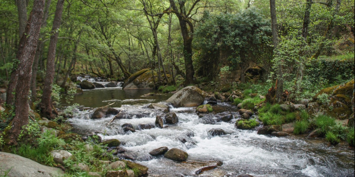 sierra de francia