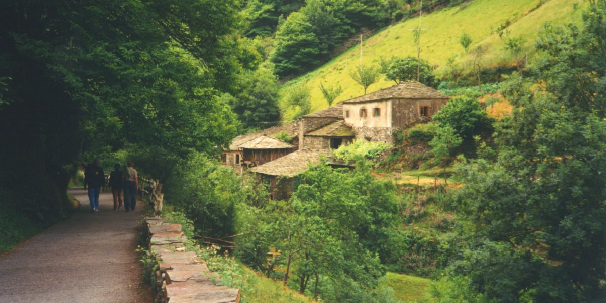 Os Teixois