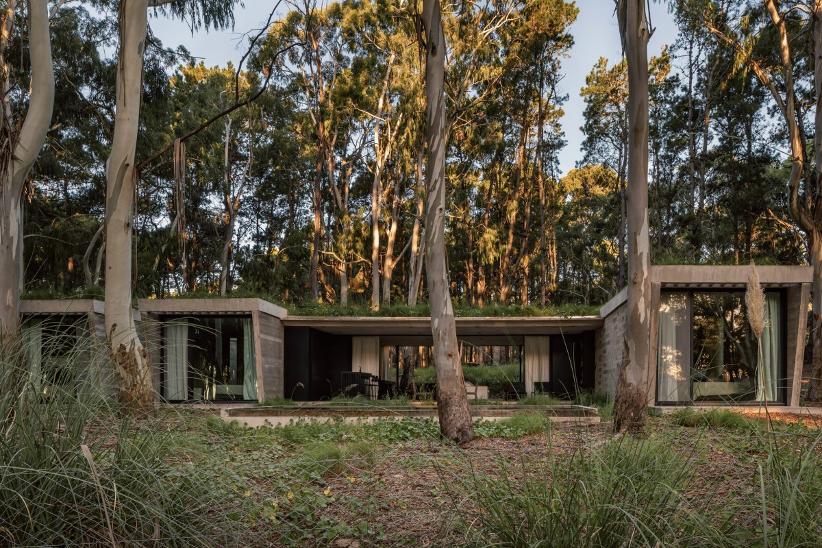 Gonzalo Bardach Arquitectura ha diseñado la Casa del Bosque, una vivienda integrada en la naturaleza en las afueras de Buenos Aires.