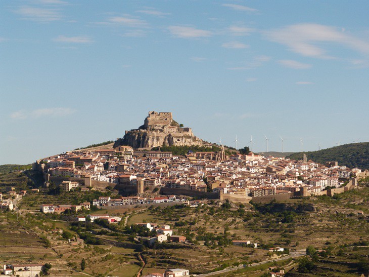 Morella
