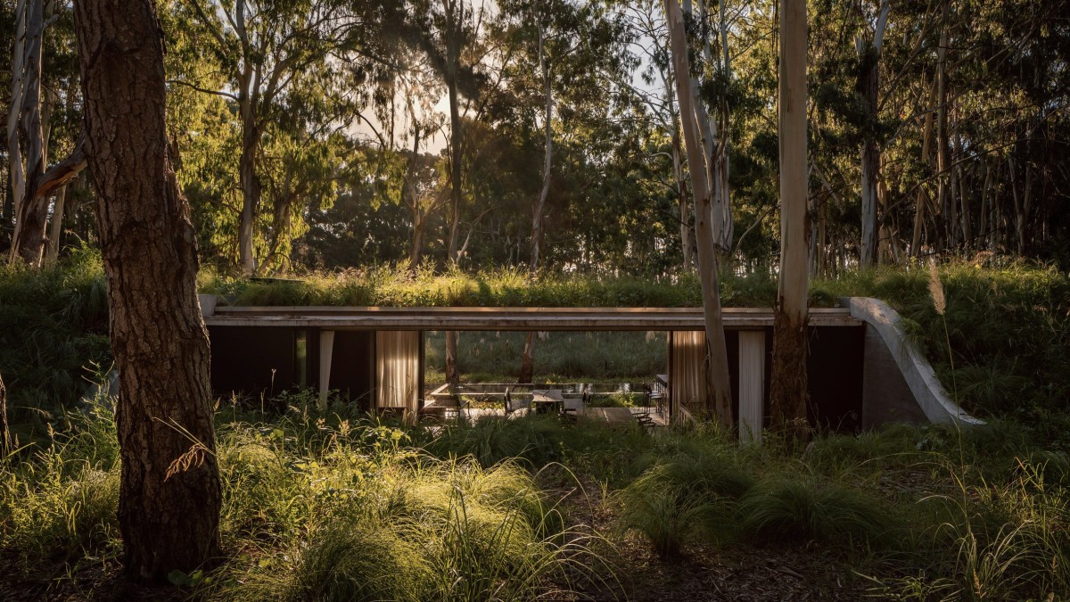 La Casa se esconde entre la vegetación y las colinas, abriéndose hacia el exterior mediante grandes superficies acristaladas.