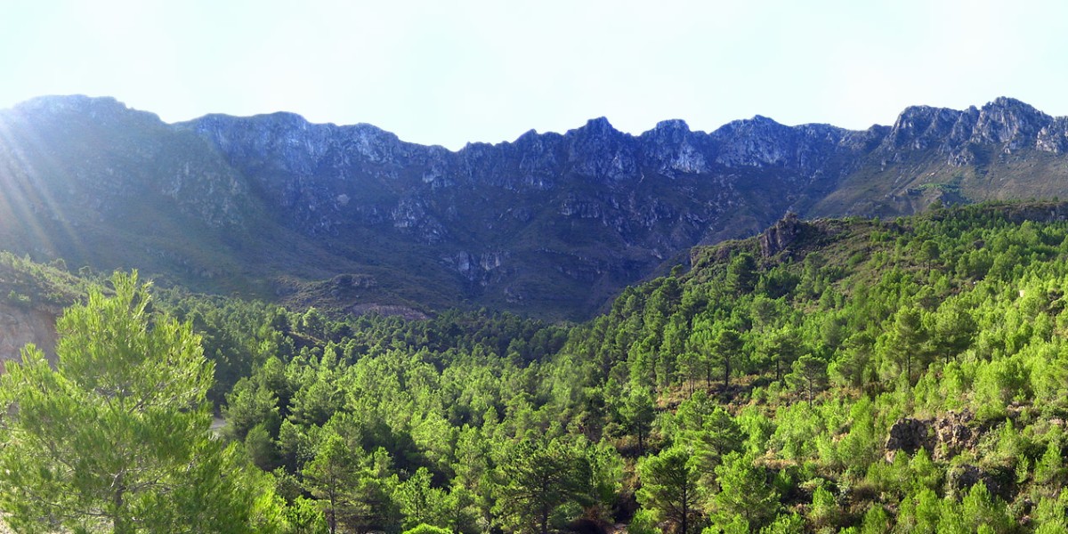 circ de la safor