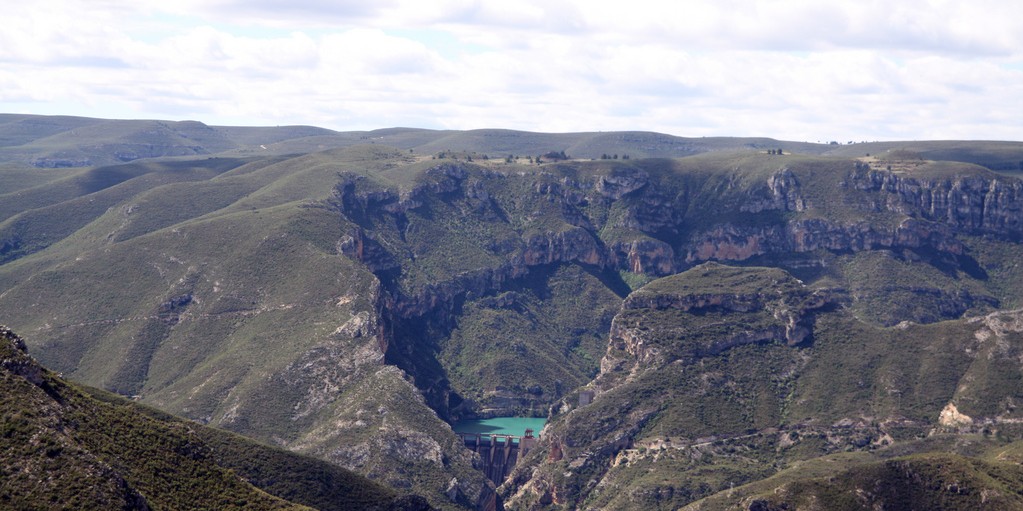 naranjero