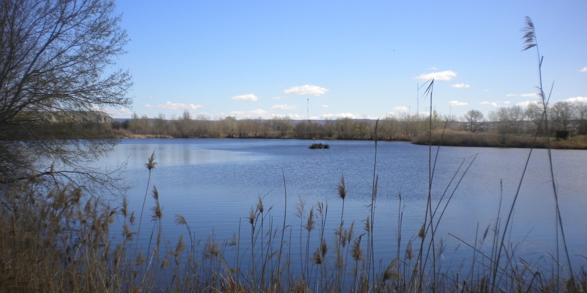 Cómo es vivir en Arganda