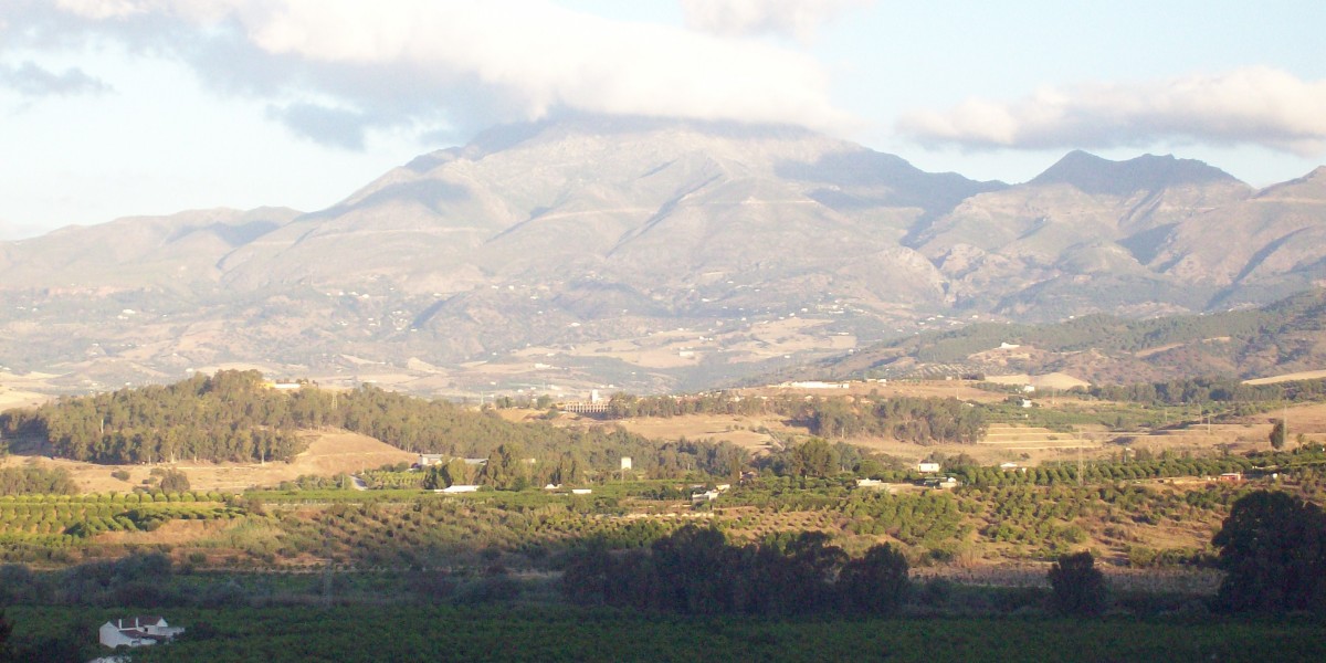 pizarra