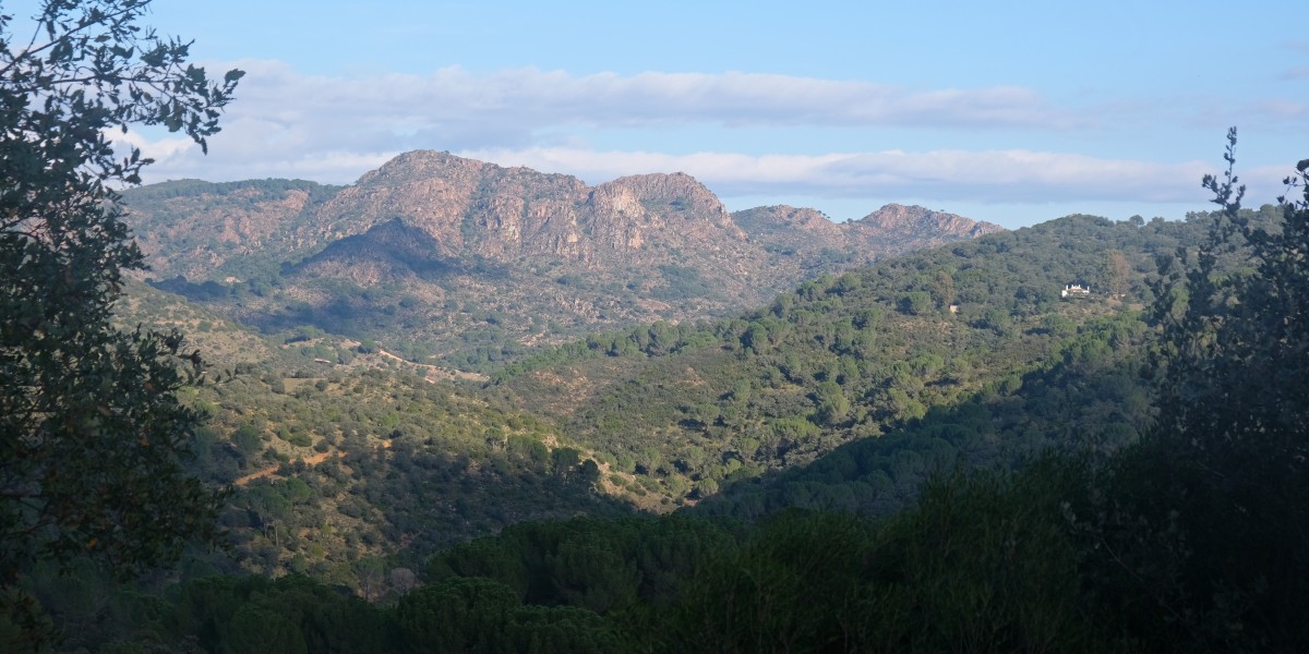 villaviciosa de cordoba