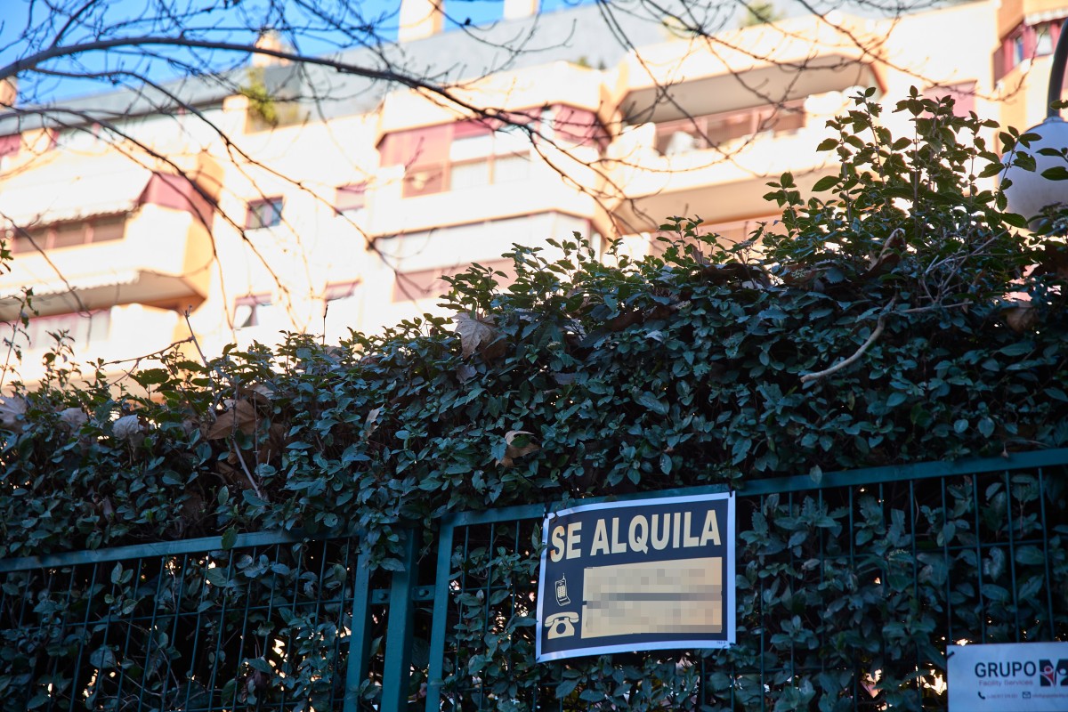 CECU pide más recursos en el nuevo Plan de Vivienda para vigilar las prácticas abusivas de las inmobiliarias Archivo - Un cartel de alquiler de vivienda.