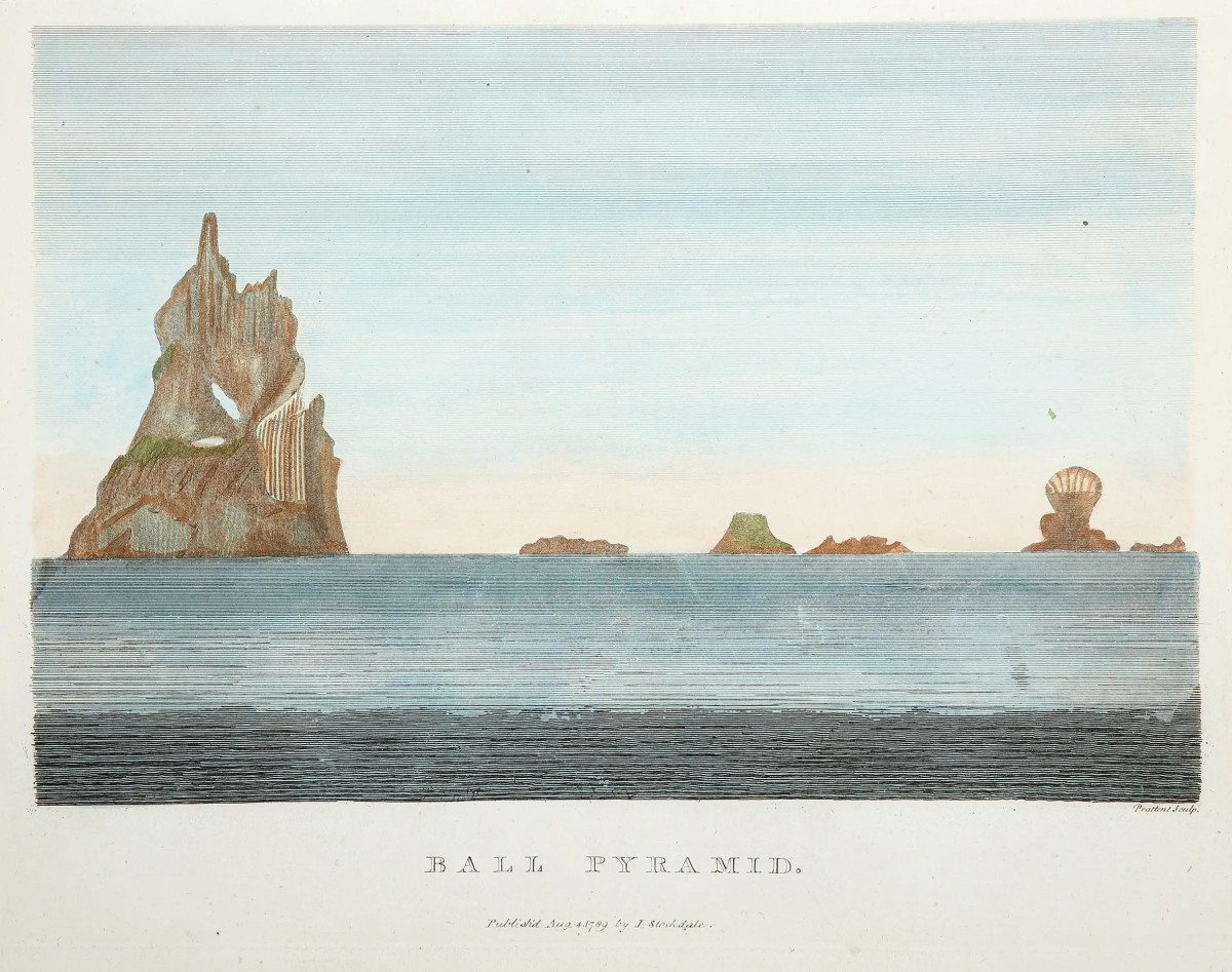 Grabado de John Stockdale aparecido en el libro de Arthur Phillip sobre el viaje a la isla de Lord Howe.