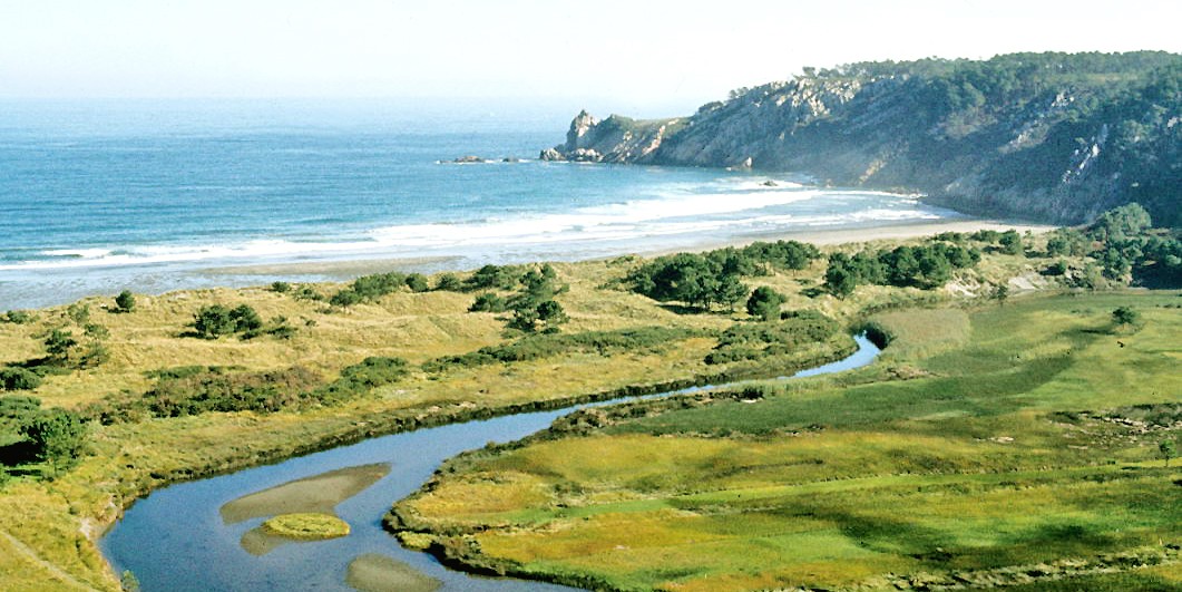 barayo