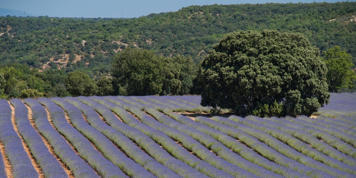 brihuega