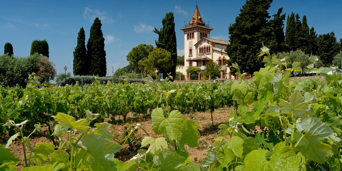 penedes