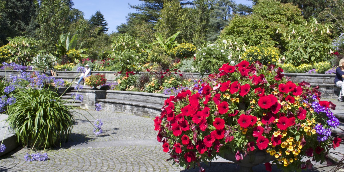 mainau