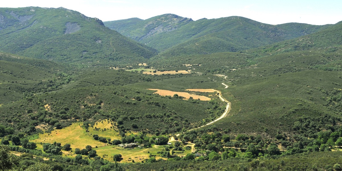 Parque Nacional de Cabañeros