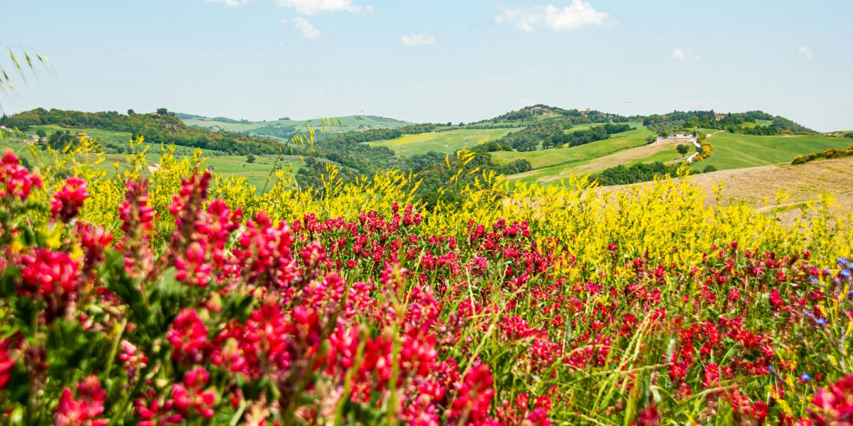 toscana