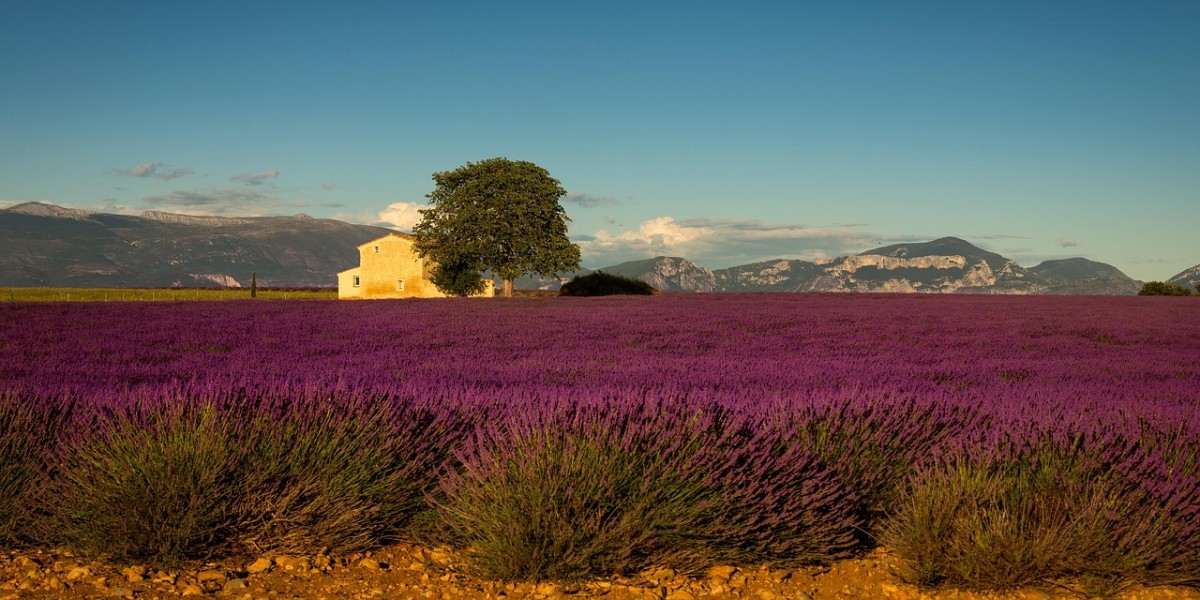 provenza