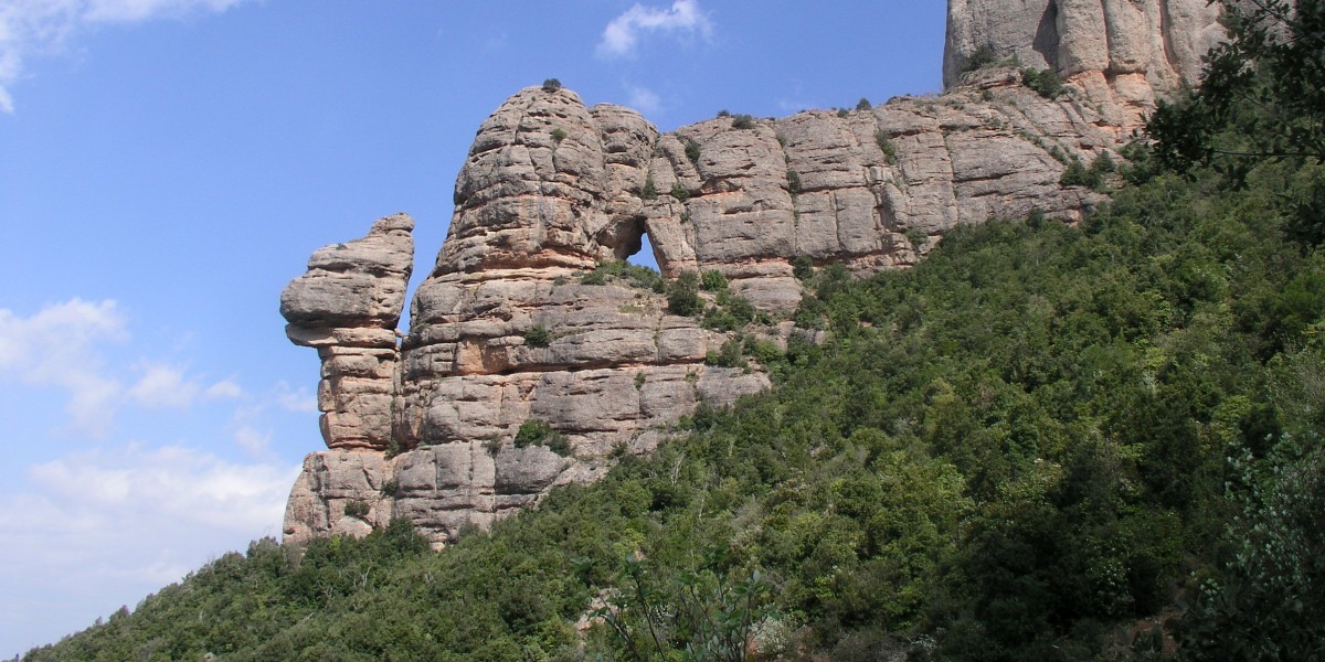 perforated rock