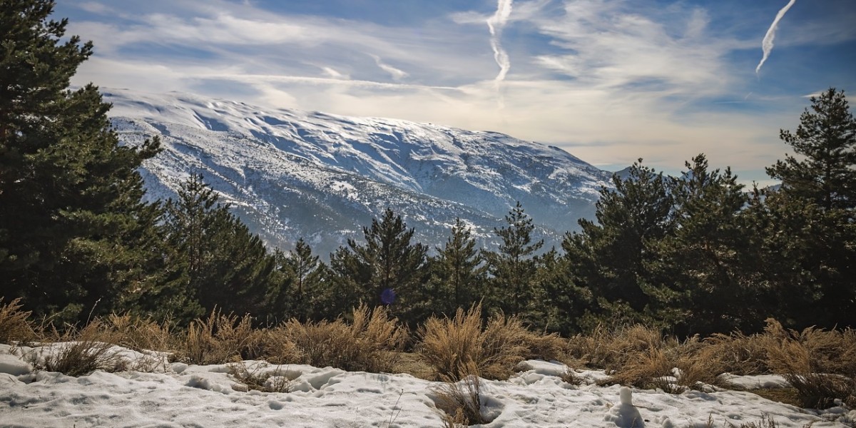 sierra nevada