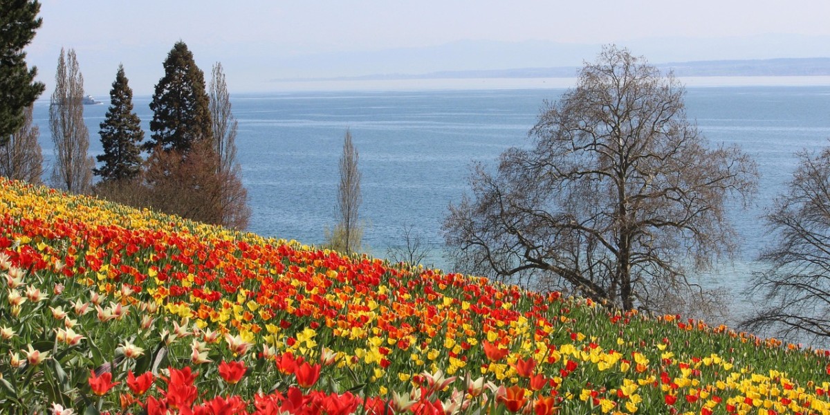 mainau