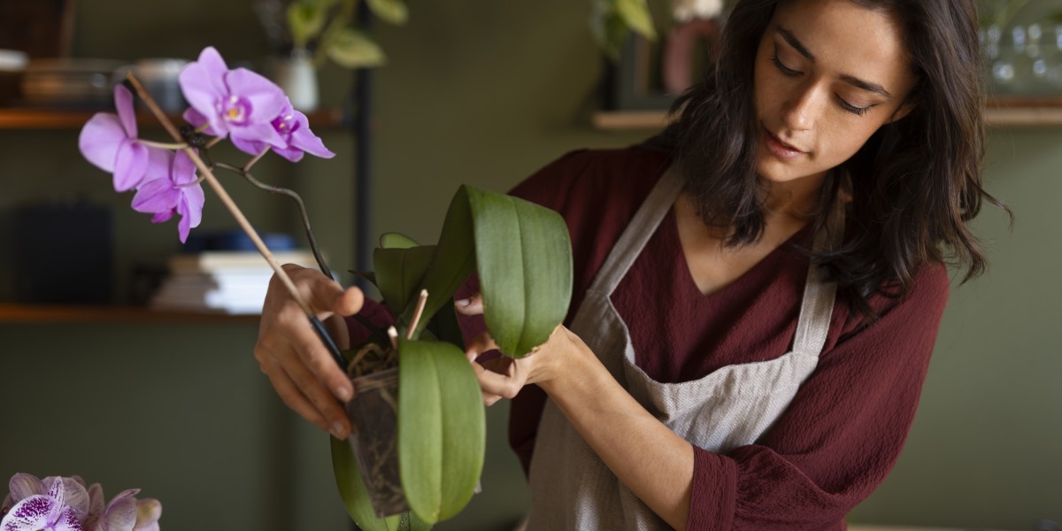 orquideas