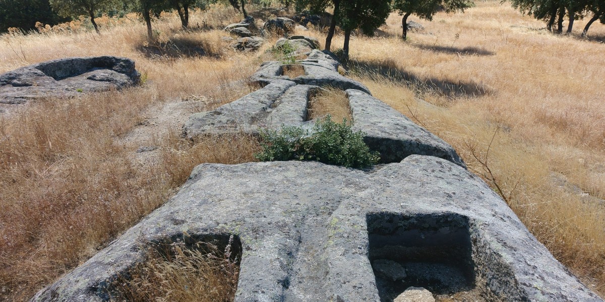 Yacimiento de Malamoneda