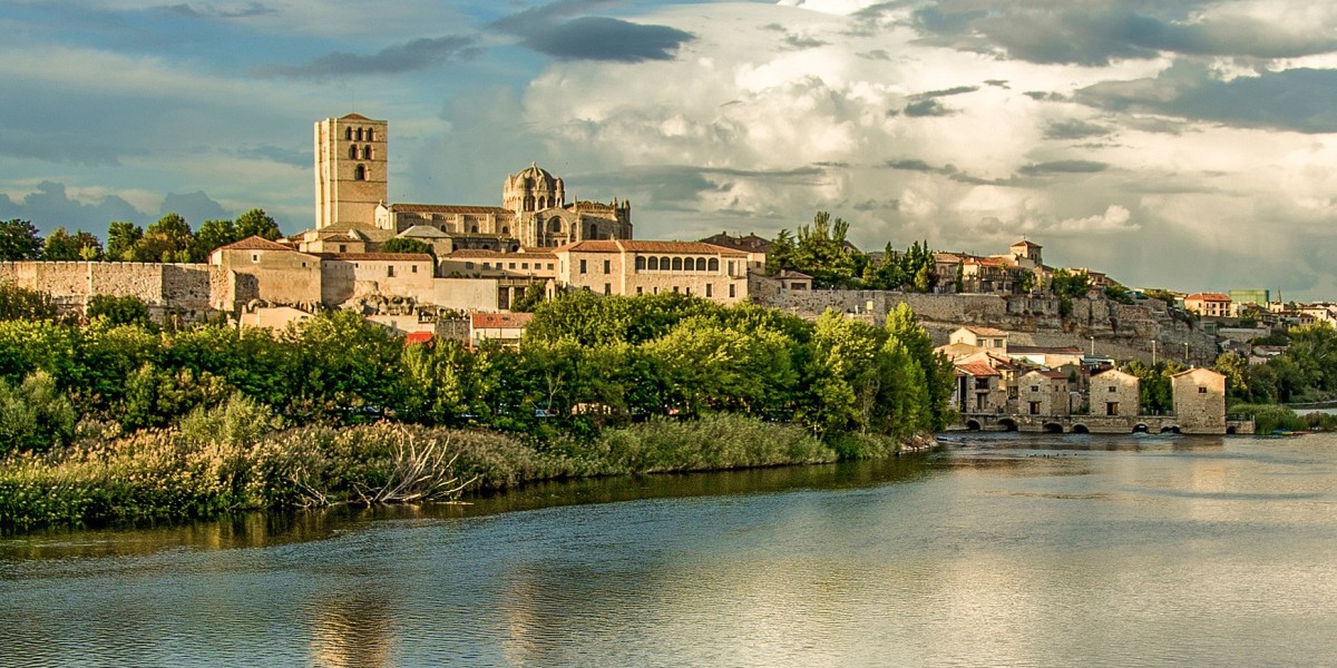 zamora