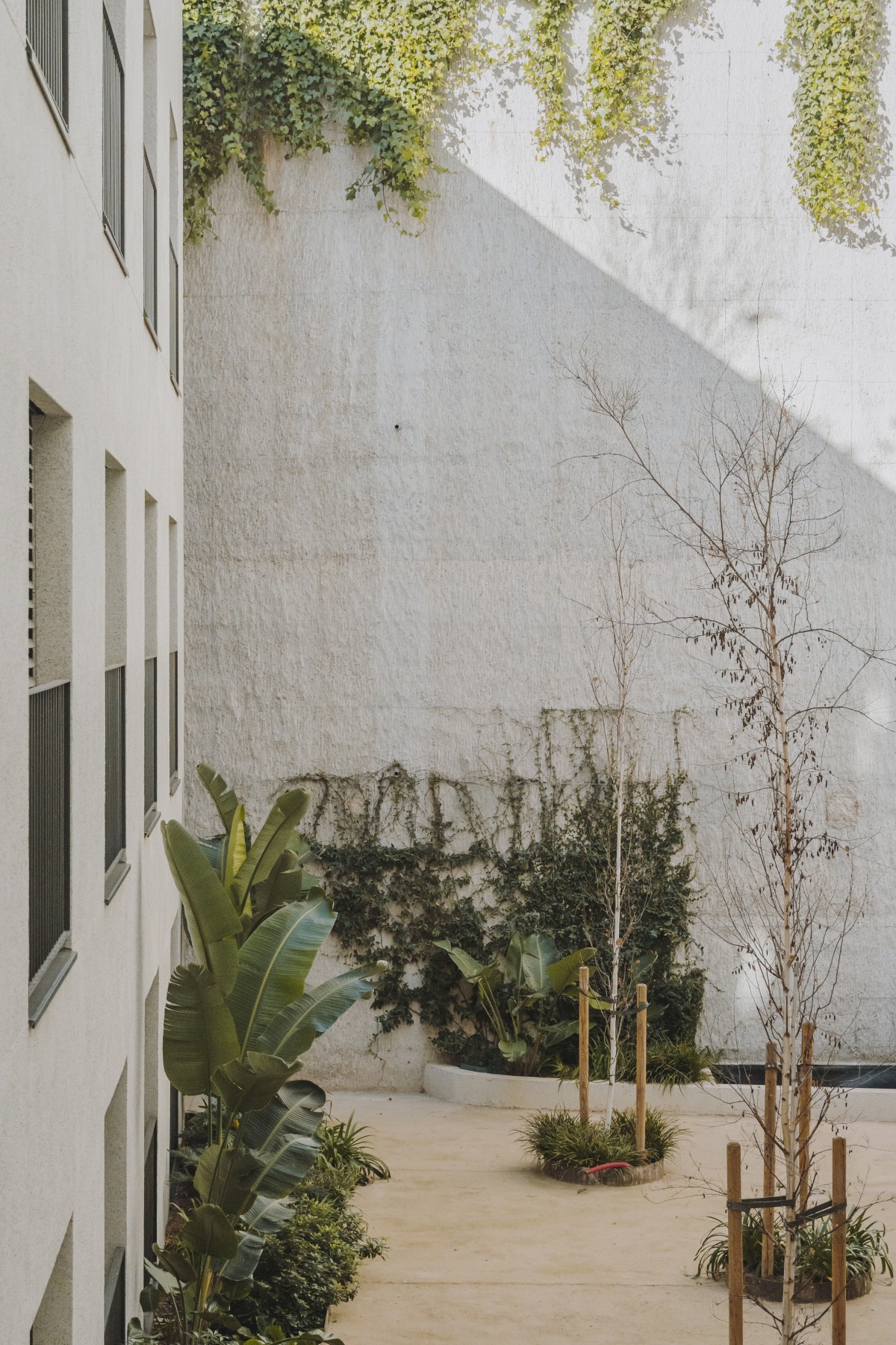 Terraza interior