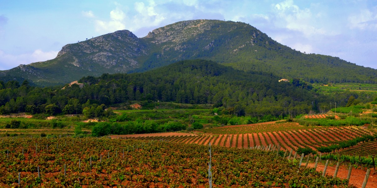 montmell