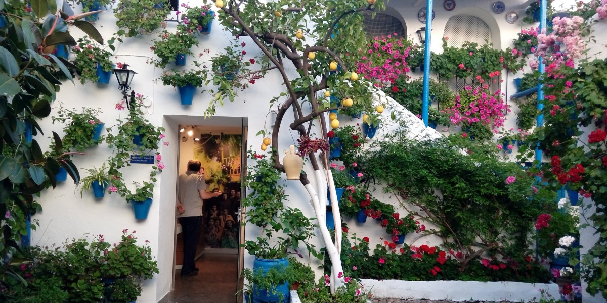 Cordoba's Patios Festival