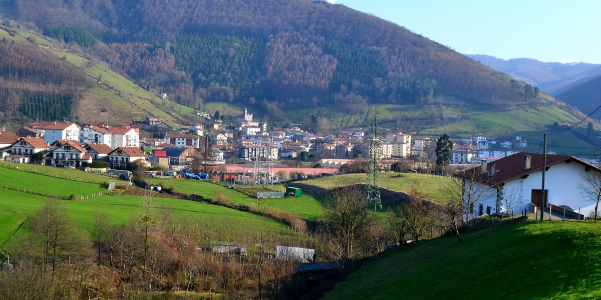 leitza
