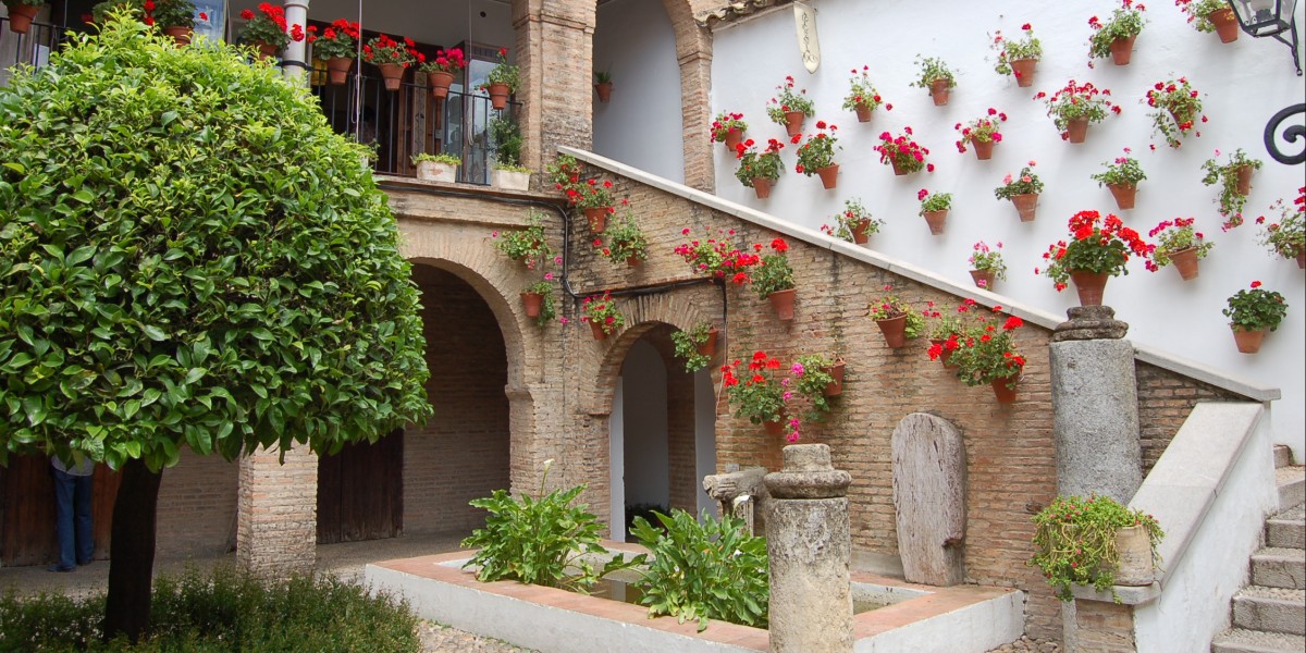 Cordoba's Patios Festival