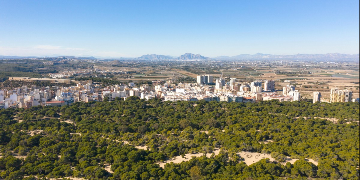 Living in Guardamar del Segura