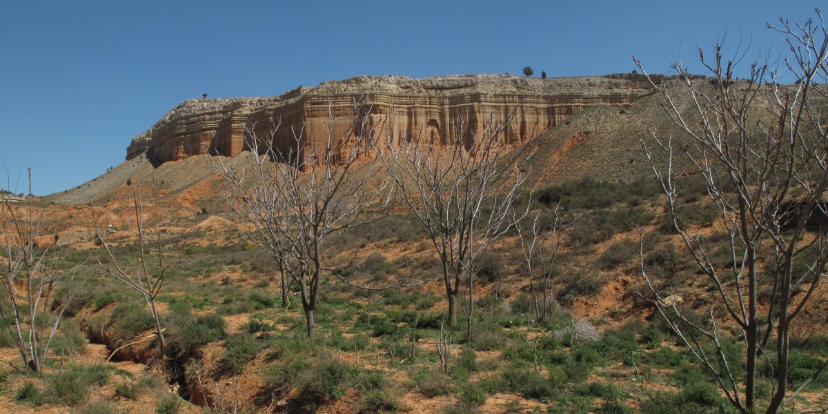 rambla de barrachina