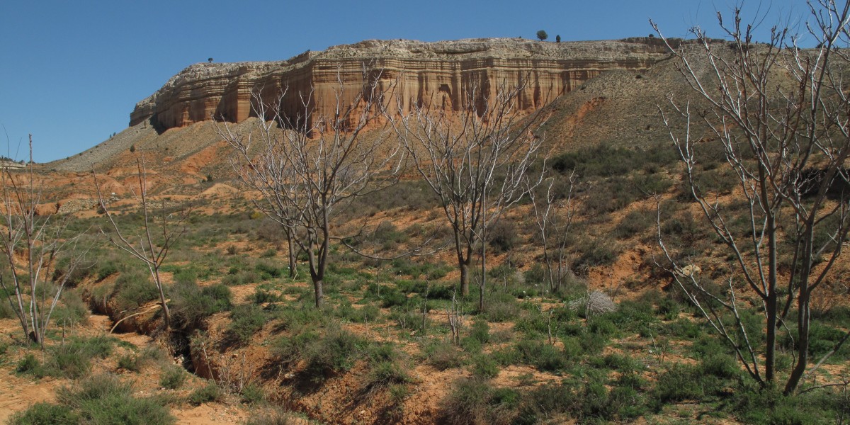 rambla de barrachina