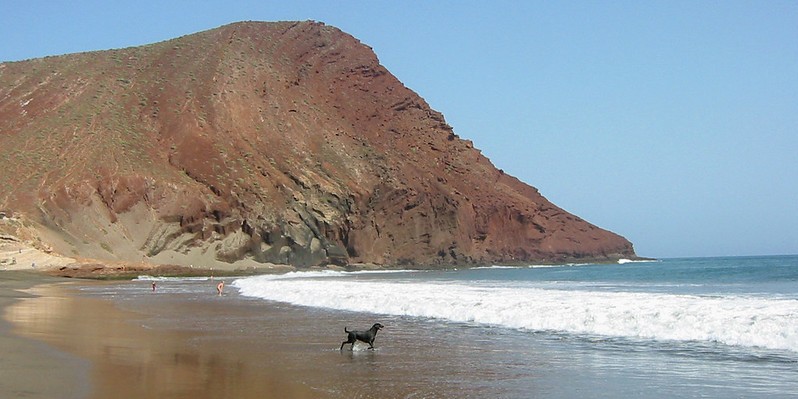 la tejita