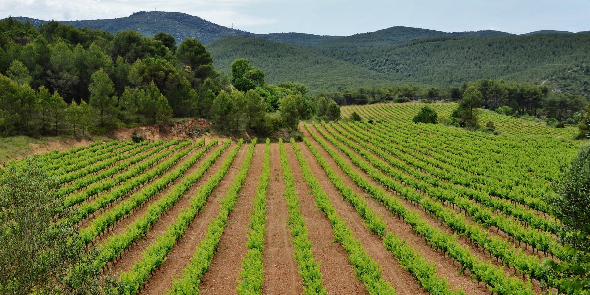 Garraf