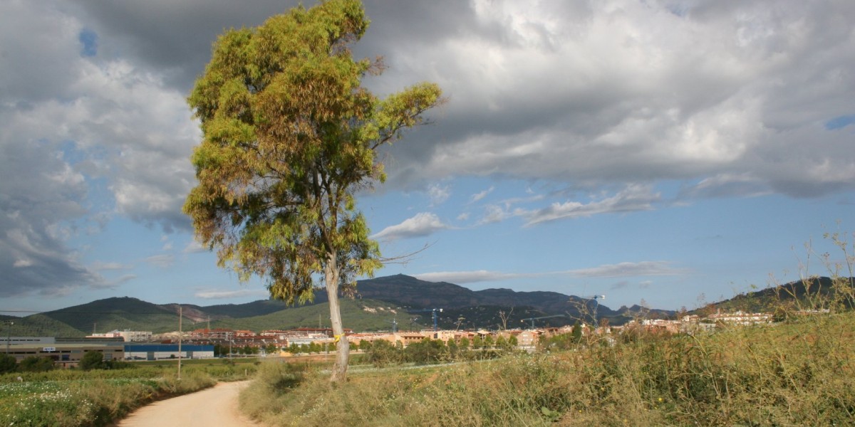 castellar de les valls