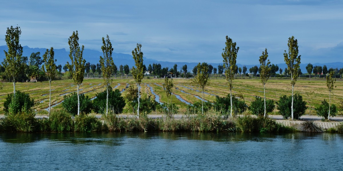 Delta del Ebro