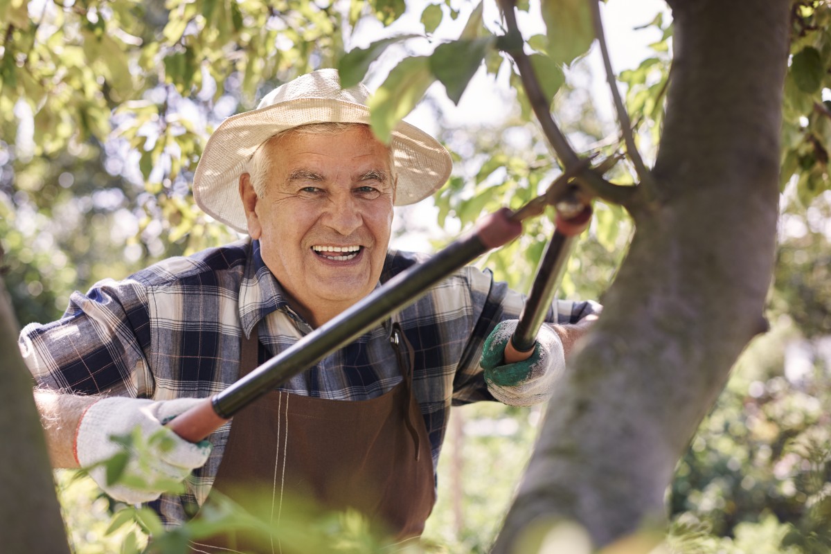 Puede la comunidad de propietarios cortar un árbol del jardín comunitario si eso me perjudica??