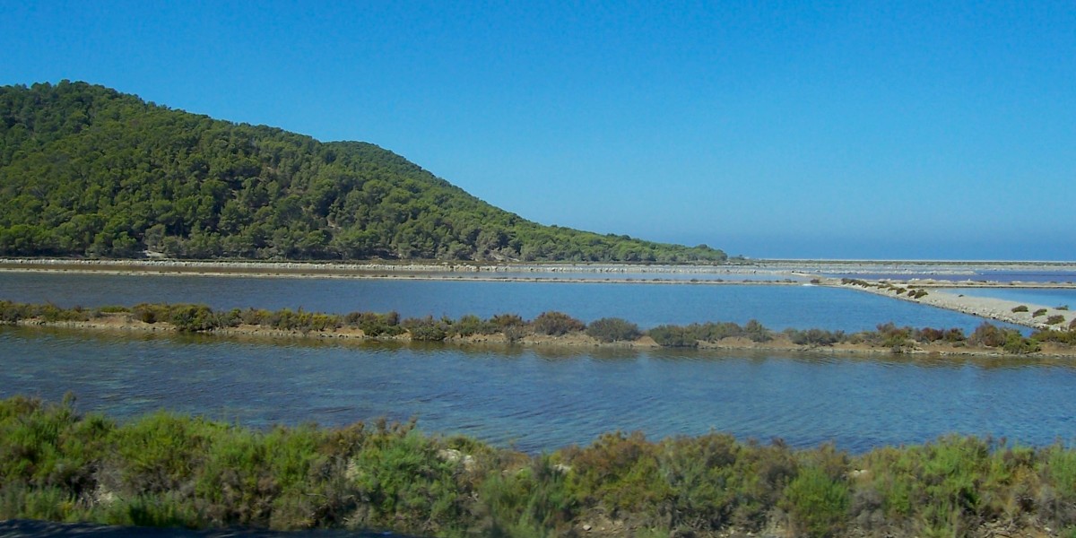 ses salines