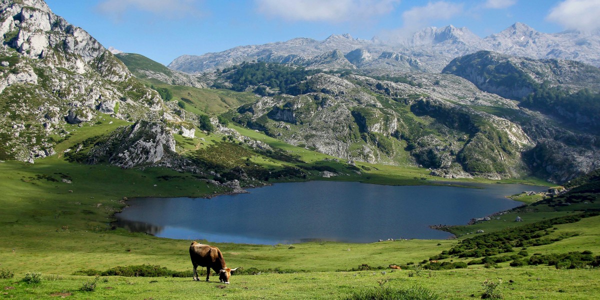 Lagos de Covadonga