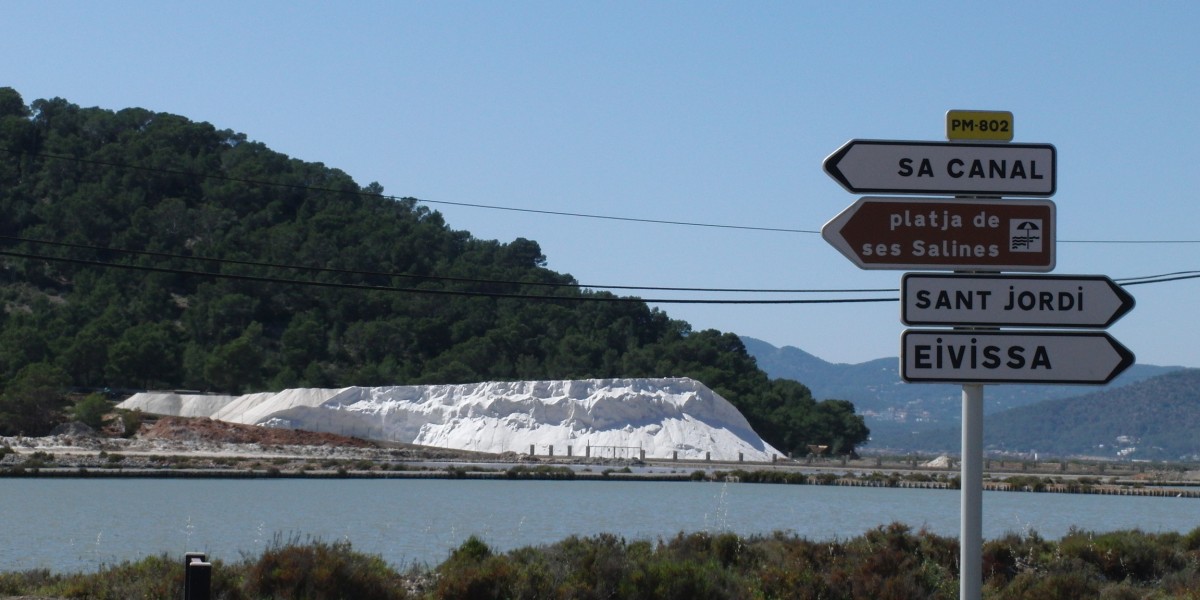 ses salines