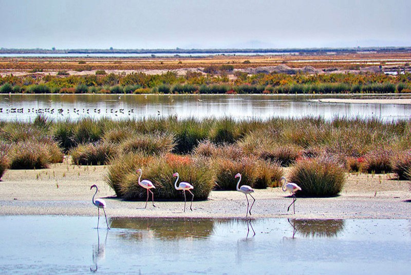 Vacaciones 2025 Huelva