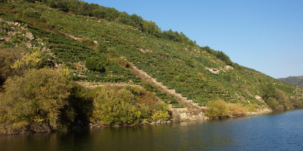 ribeira sacra