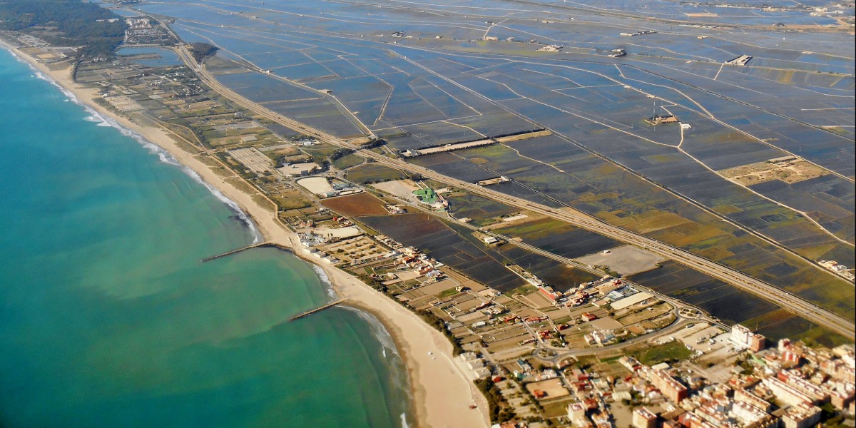 dog-friendly beaches in Valencia
