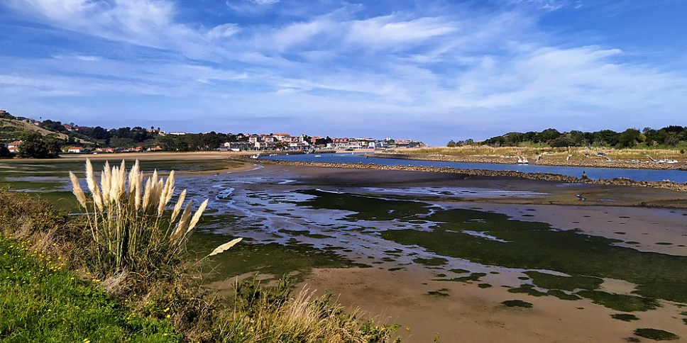 playas para perros en cantabria