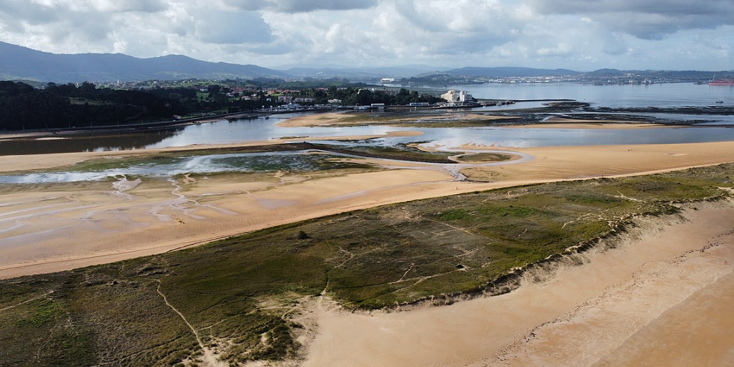 playas para perros en cantabria