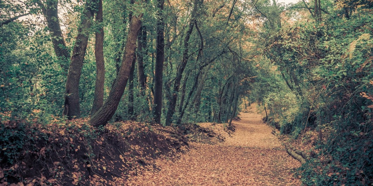 que veure a la garrotxa