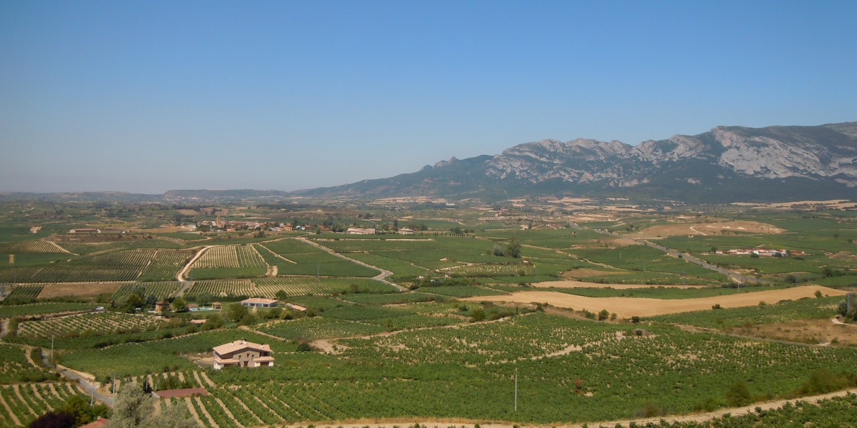 vinos tipicos del pais vasco