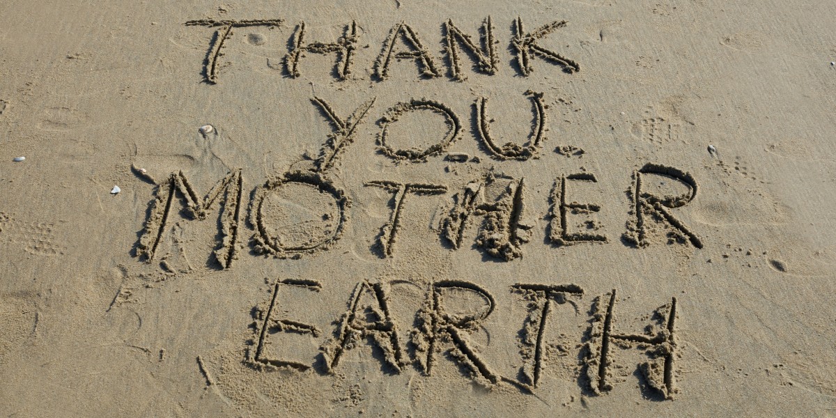 Blue Flag awards guide