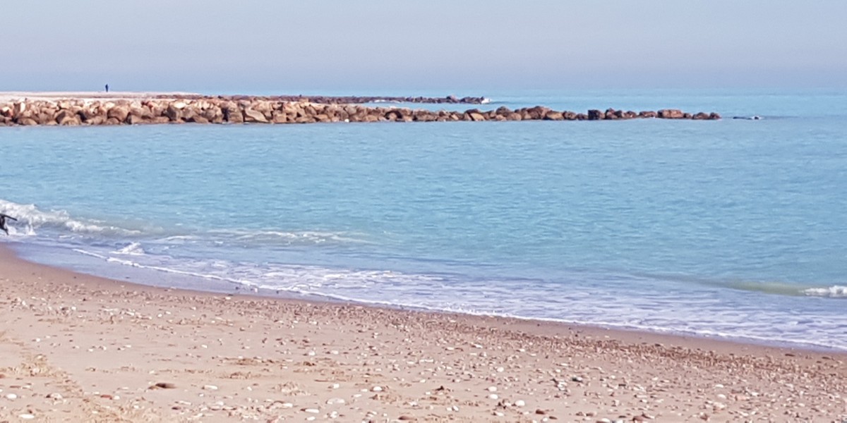 dog-friendly beaches in Valencia
